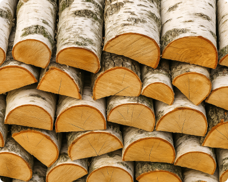 Birch