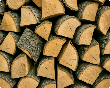 Hornbeam
